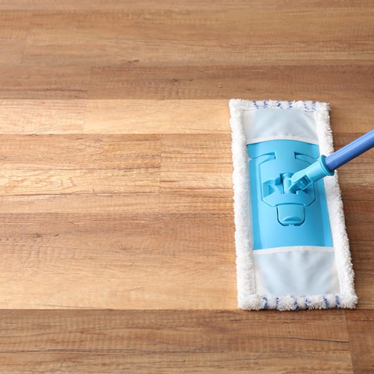 GALLERY_0004_shutterstock_1728994774 GALLERY_0004_shutterstock_1728994774