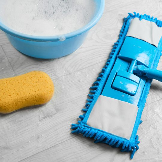 GALLERY_0005_shutterstock_1724932651 GALLERY_0005_shutterstock_1724932651