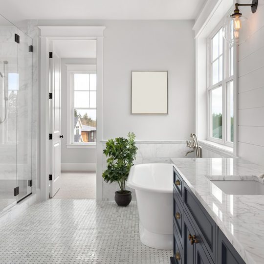 GALLERY_0008_shutterstock_1247861734 GALLERY_0008_shutterstock_1247861734