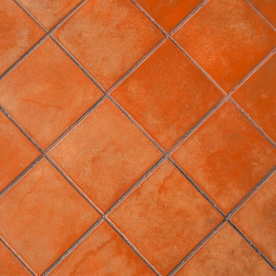 Gallery_0001_shutterstock_1183358005