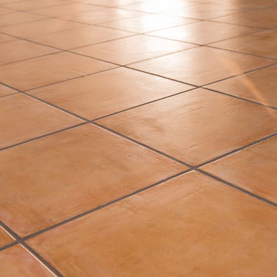 gallery_0004_shutterstock_529612537