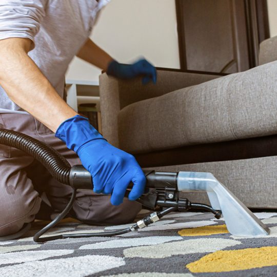 Gallery_0000_shutterstock_1757924801 Gallery_0000_shutterstock_1757924801