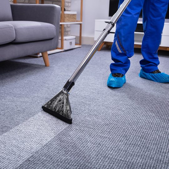 Gallery_0002_shutterstock_1407717728 Gallery_0002_shutterstock_1407717728