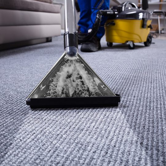 Gallery_0004_shutterstock_1079108441 Gallery_0004_shutterstock_1079108441