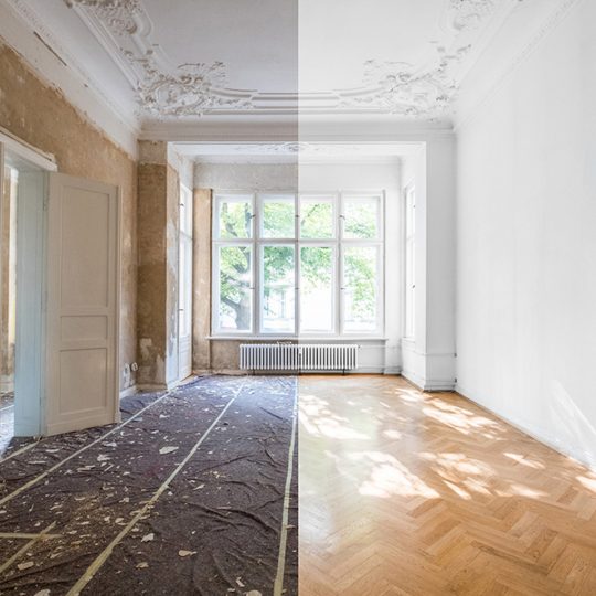 _0017_shutterstock_1163476582