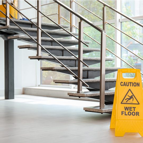 GALLERY_0010_shutterstock_1121303825