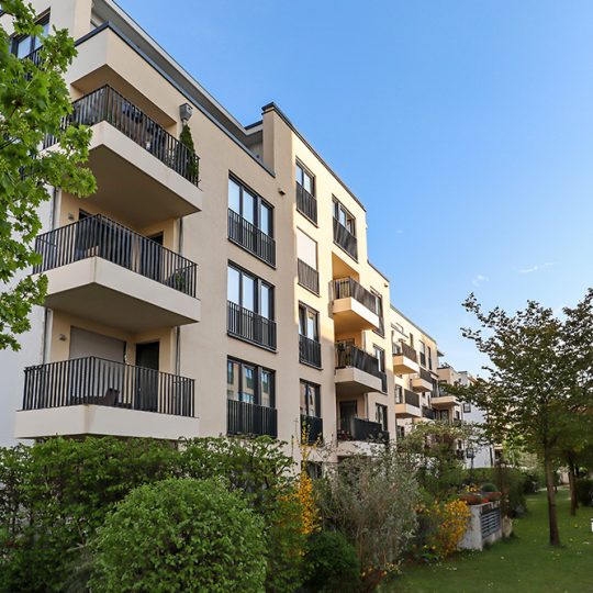 Gallery_0001_shutterstock_1709650513