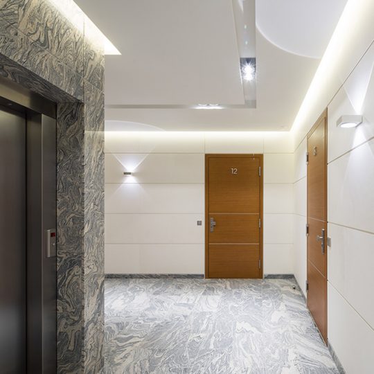 Gallery_0004_shutterstock_790127872