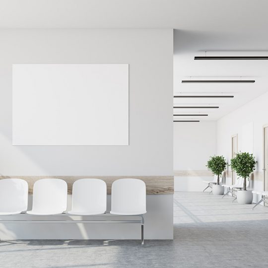 Gallery_0004_shutterstock_758438593