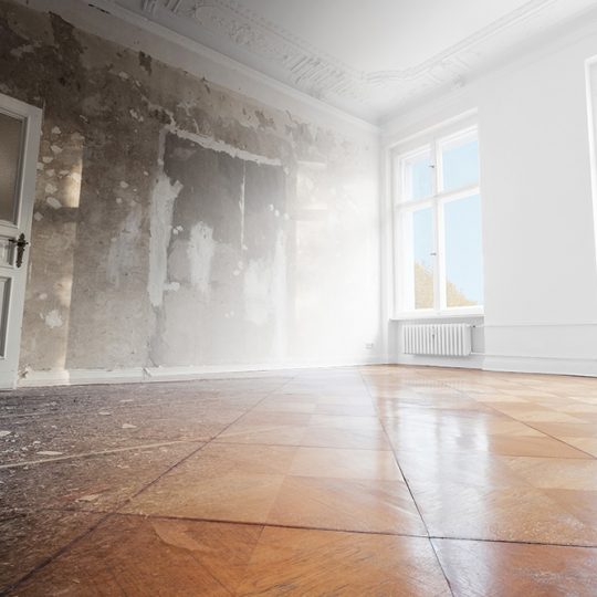 Gallery_0001_shutterstock_1286467501 Gallery_0001_shutterstock_1286467501