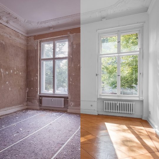 Gallery_0003_shutterstock_1163476552 Gallery_0003_shutterstock_1163476552