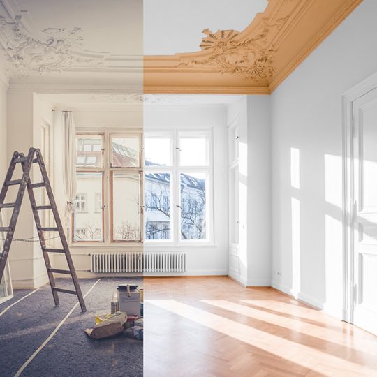 Gallery_0004_shutterstock_1087239533 Gallery_0004_shutterstock_1087239533