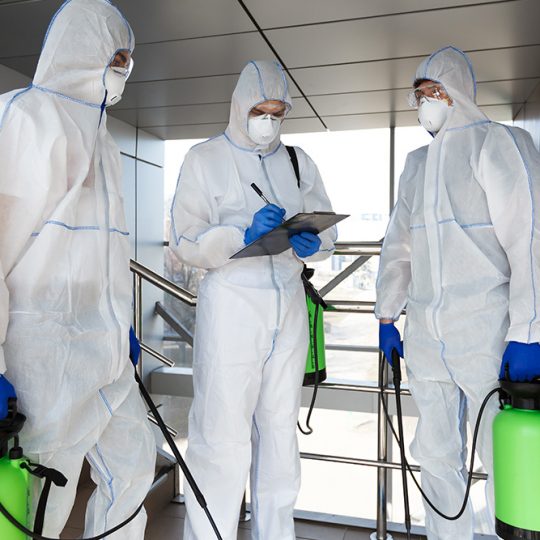 Gallery_0000_shutterstock_1686724846 Gallery_0000_shutterstock_1686724846