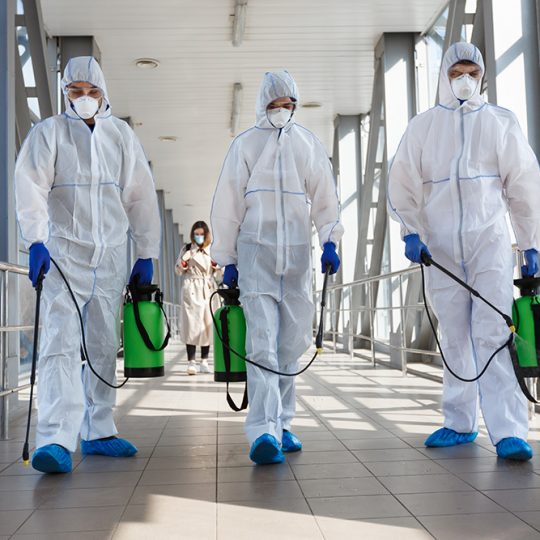 Gallery_0001_shutterstock_1679265442 Gallery_0001_shutterstock_1679265442