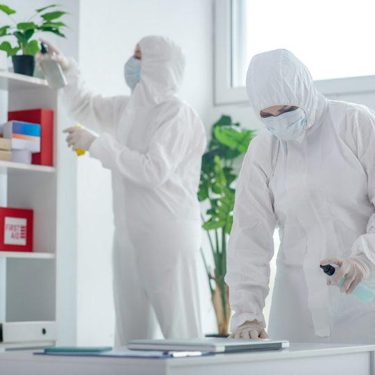 Gallery_0003_shutterstock_1727523082 Gallery_0003_shutterstock_1727523082